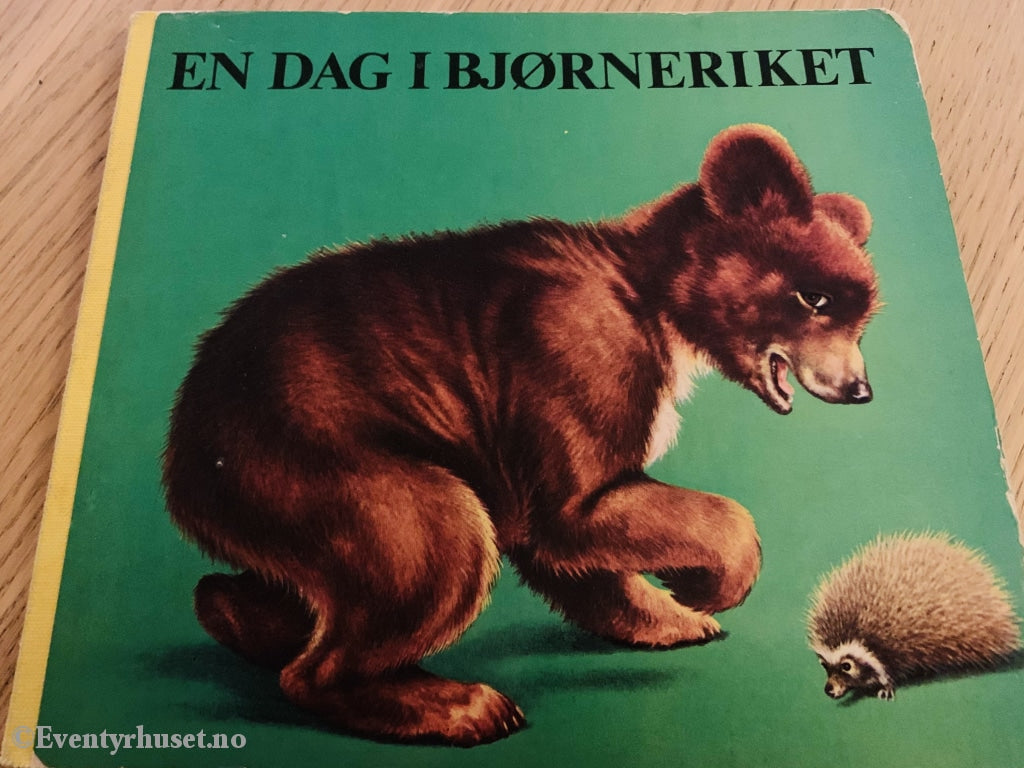 En Dag I Bjørneriket. Fortelling