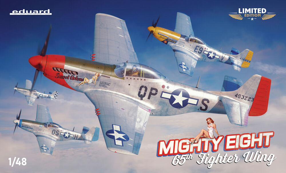 MIGHTY EIGHT: 65th Fighter Wing
