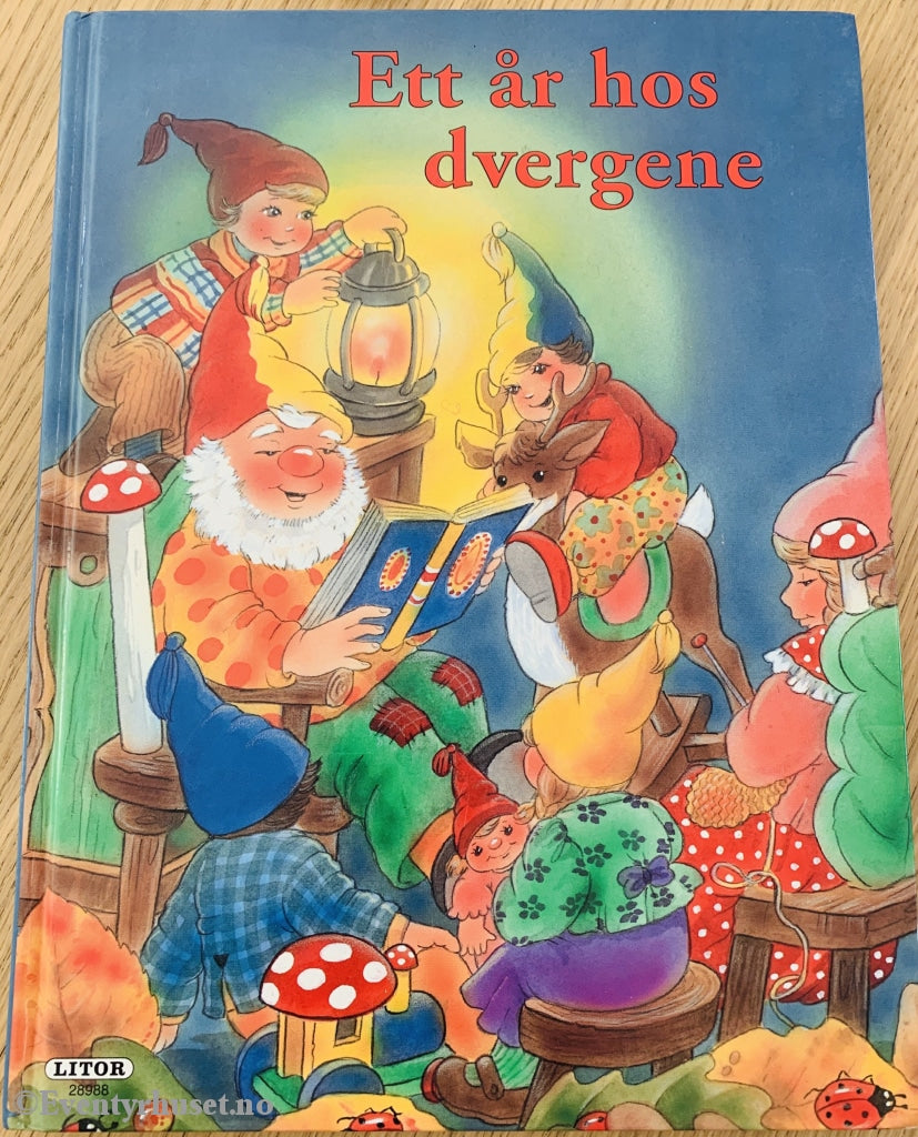 Et År Hos Dvergene. 1998. Fortelling