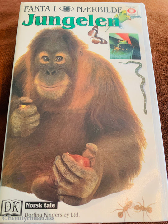 Fakta i nærbilde: Jungelen. 1992. VHS.