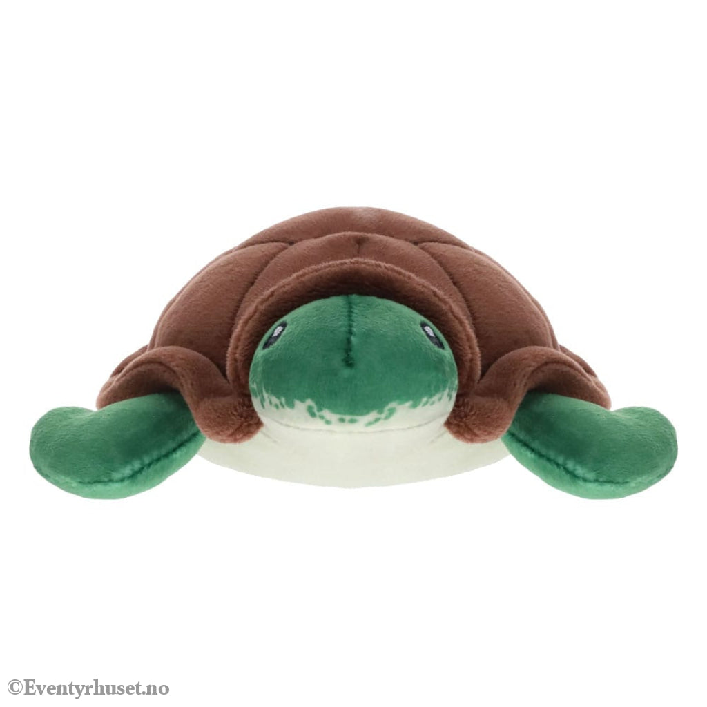 Fisch Plush Figures 10 cm Display (9) Collectibles