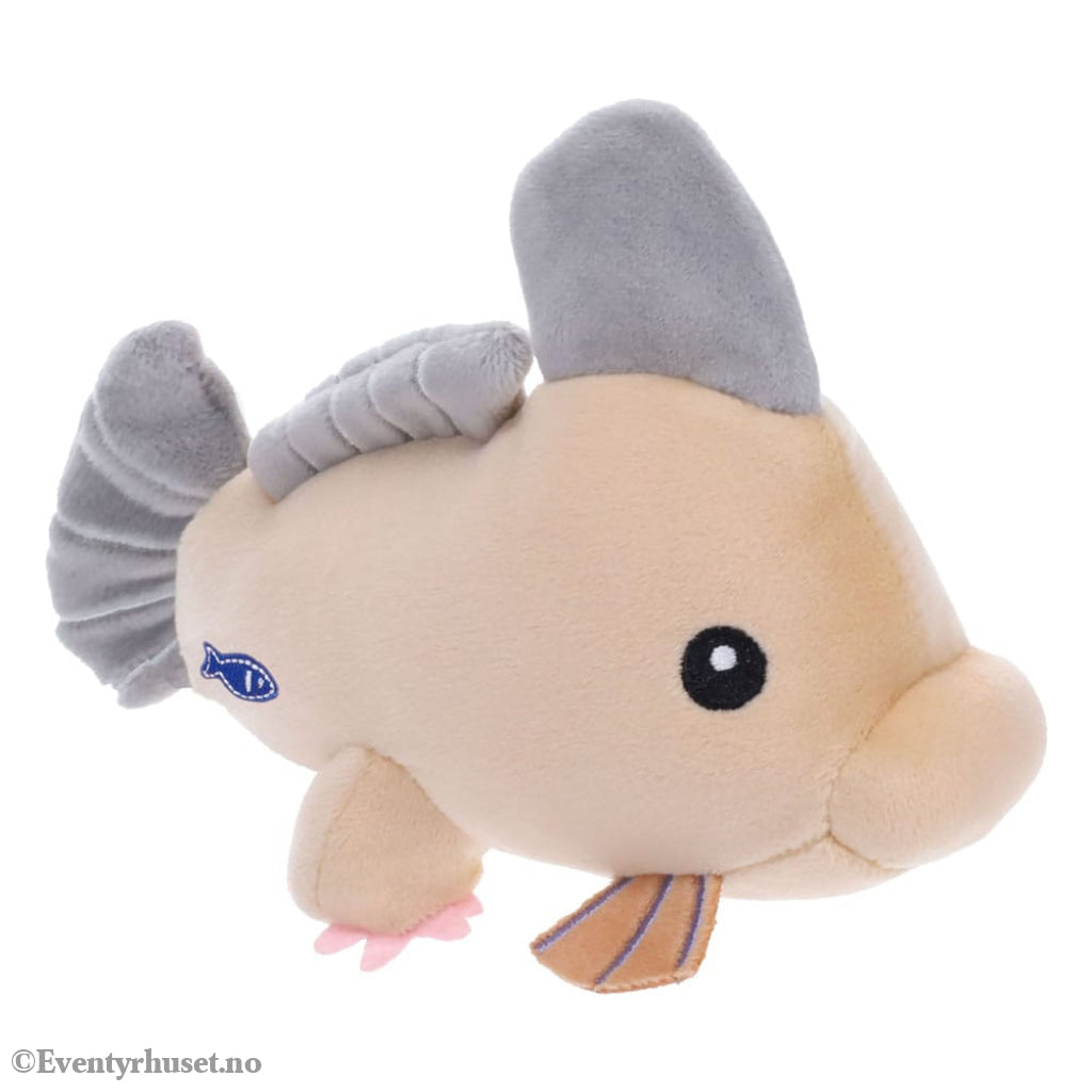 Fisch Plush Figures 10 cm Display (9) Collectibles