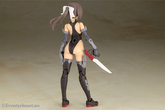 Frame Arms Girl Plastic Model Kit Izumo Destroyer Ver. 17 cm Manga & Anime