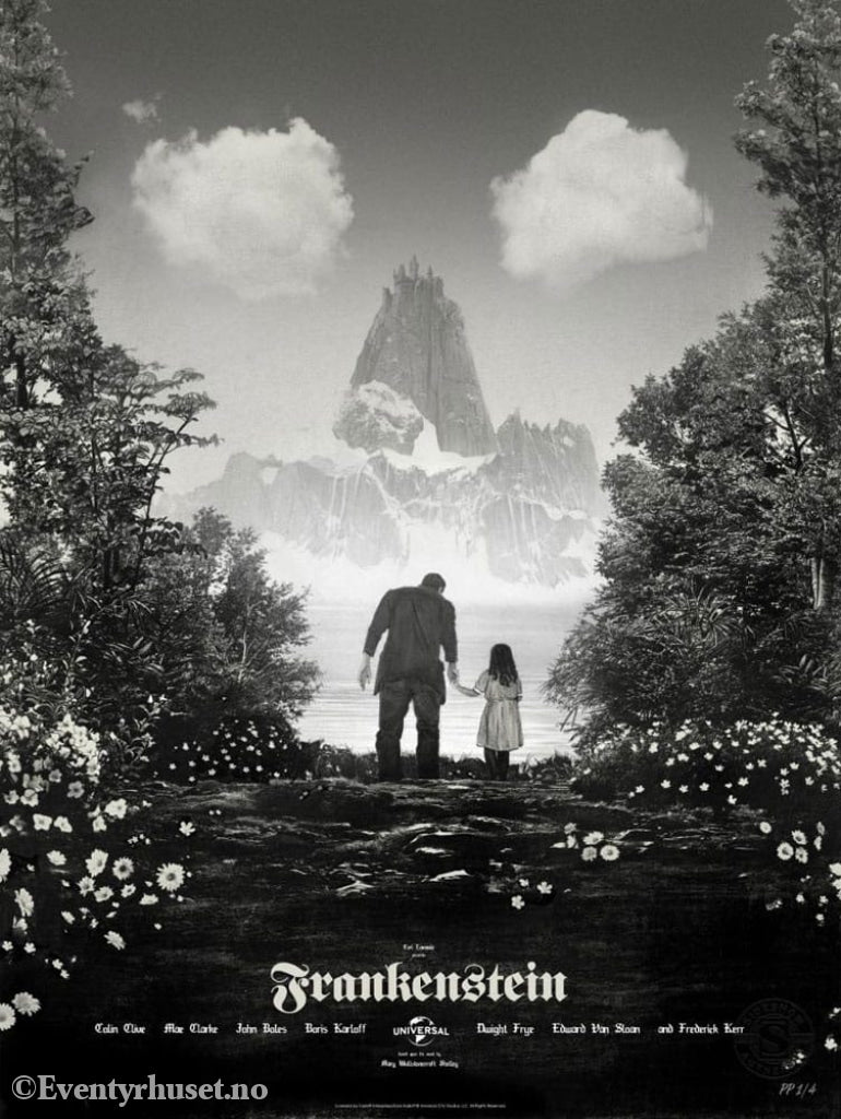 Frankenstein Art Print Frankenstein by Greg Ruth 61 x 46 cm - unframed Home & Gifts