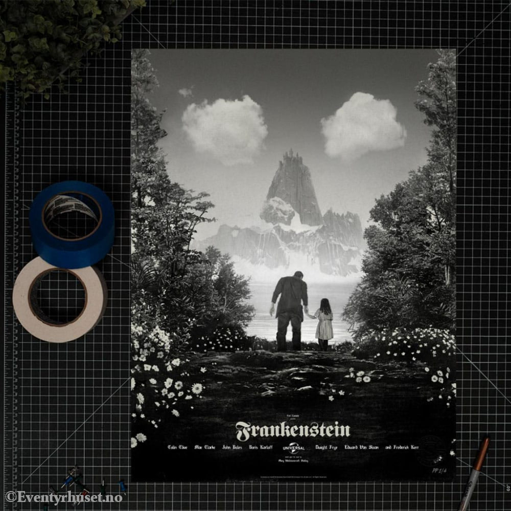 Frankenstein Art Print Frankenstein by Greg Ruth 61 x 46 cm - unframed Home & Gifts