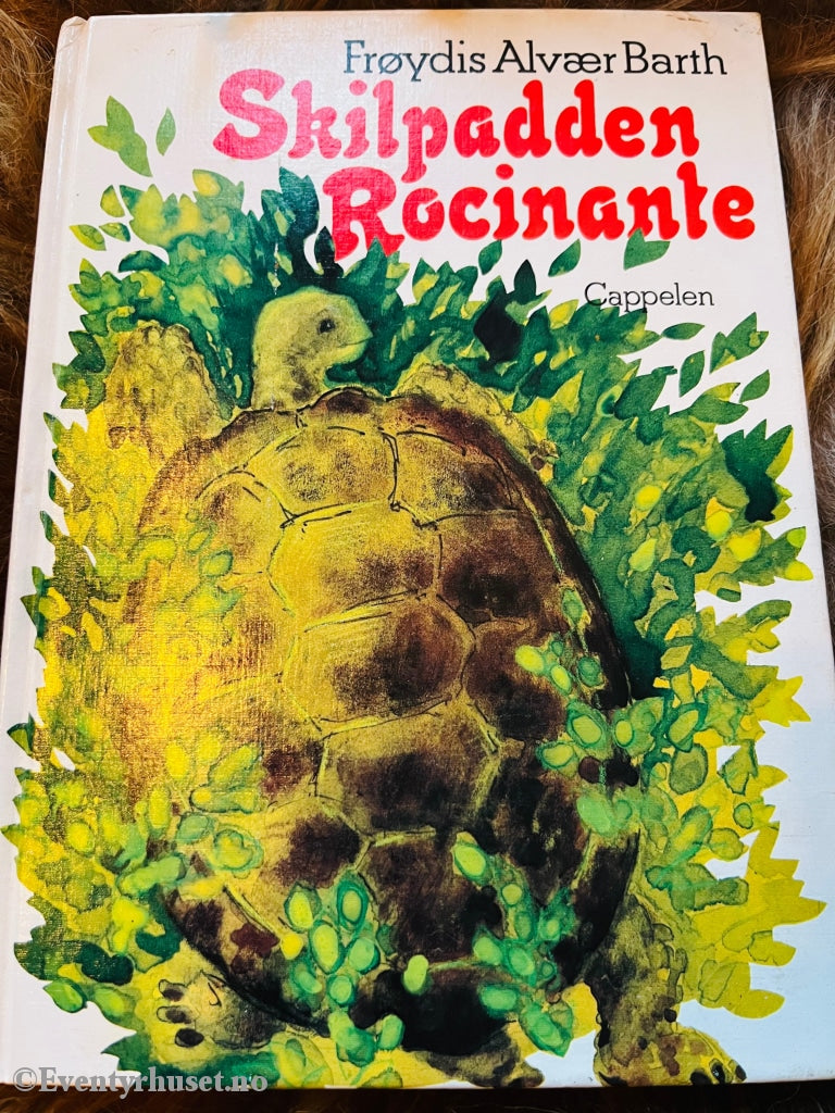Frøydis Alvær Barth. 1987. Skilpadden Rocinante. Fortelling