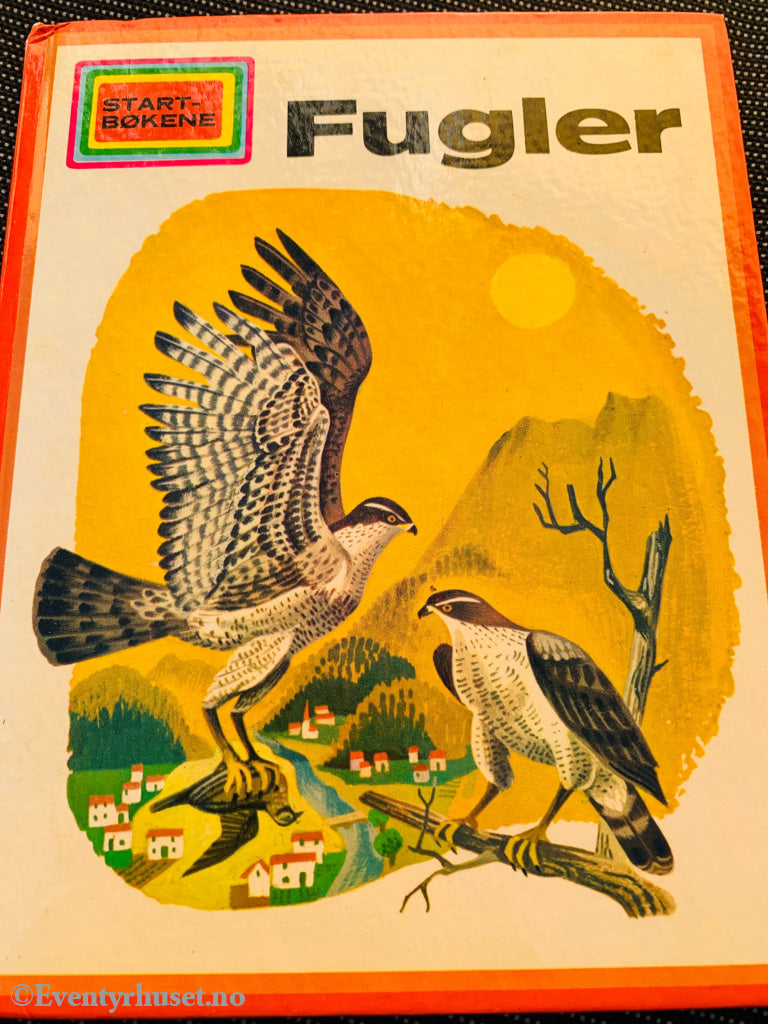 Fugler (Start bøkene). 1974. Fortelling