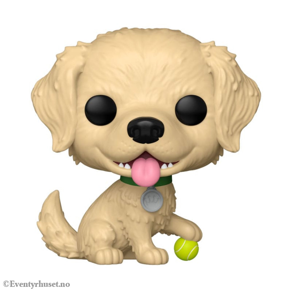 Funko-Legacy POP! Pets Vinyl Figure Golden Retriever 9 cm Collectibles