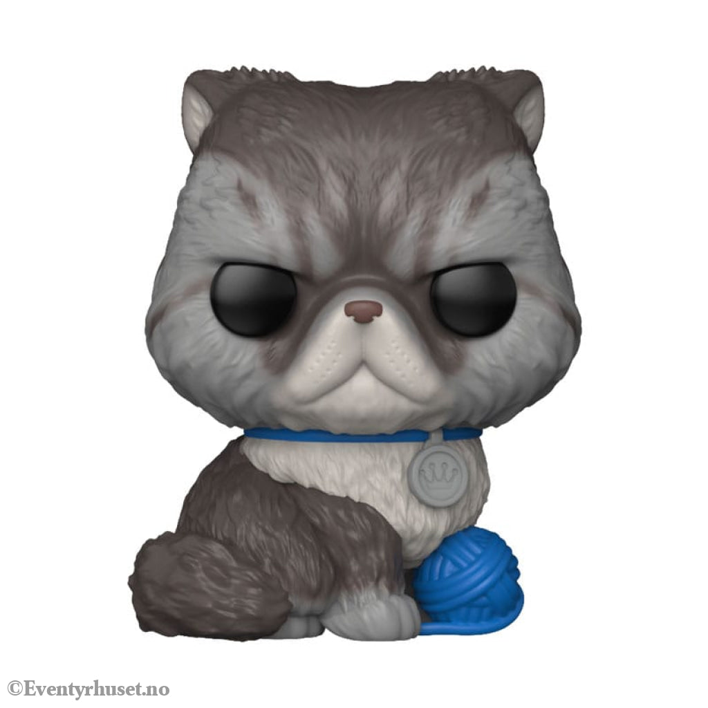 Funko-Legacy POP! Pets Vinyl Figure Persian Cat 9 cm Collectibles