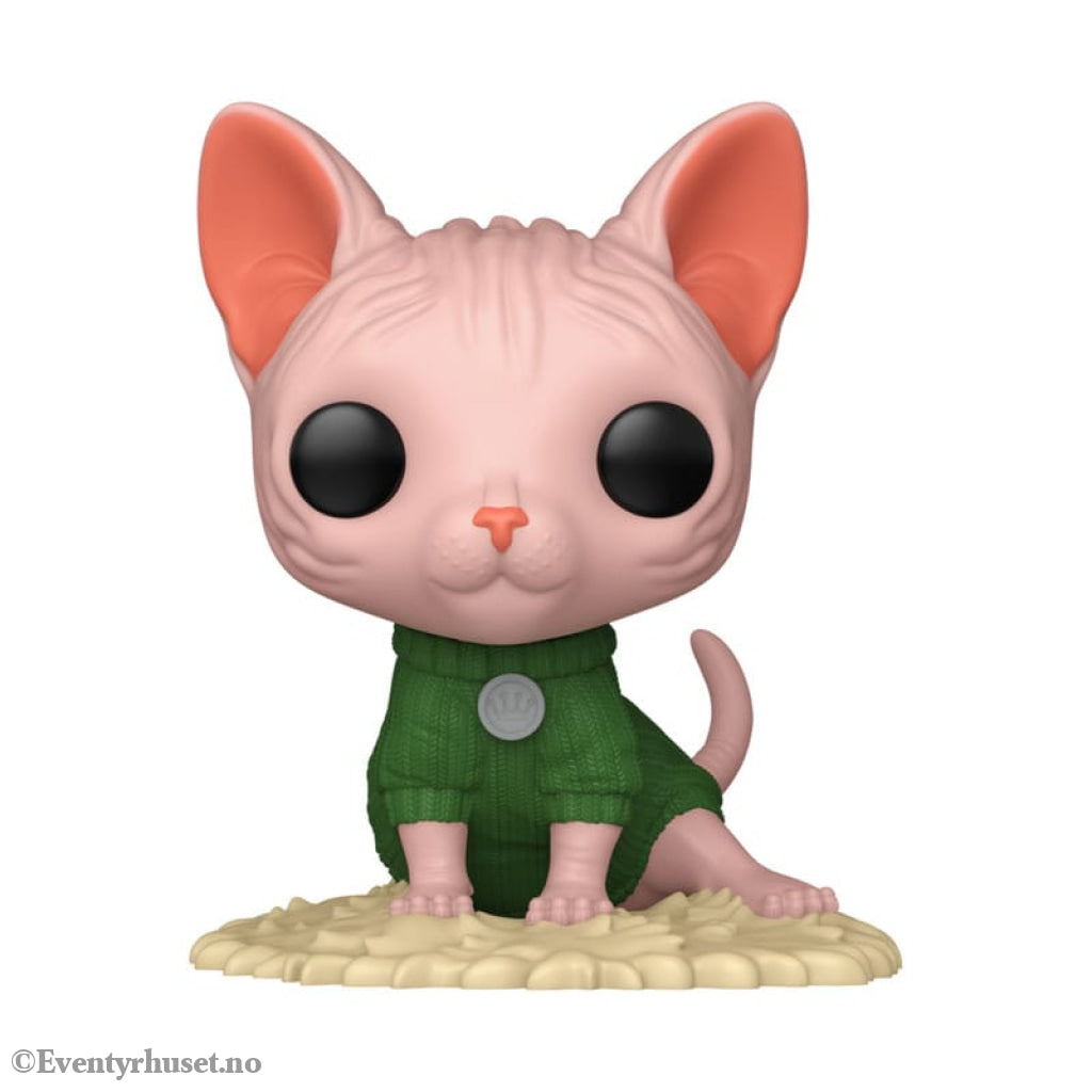 Funko-Legacy POP! Pets Vinyl Figure Sphinx Cat 9 cm Collectibles