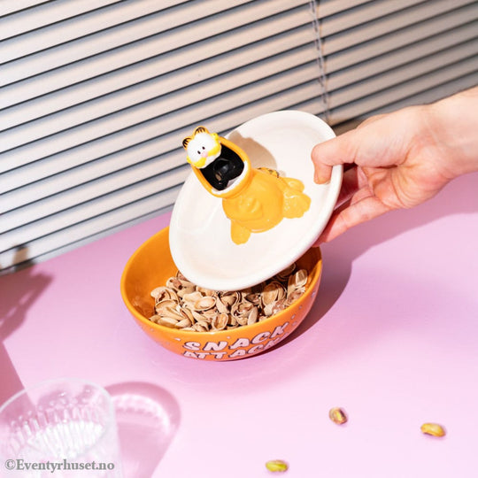 Garfield Snack Bowl Home & Gifts