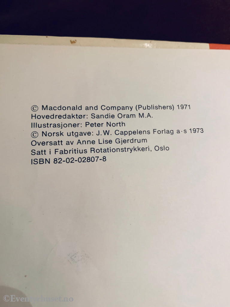 Gater Og Veier (Barnas Bibliotek). 1971/73. Fortelling