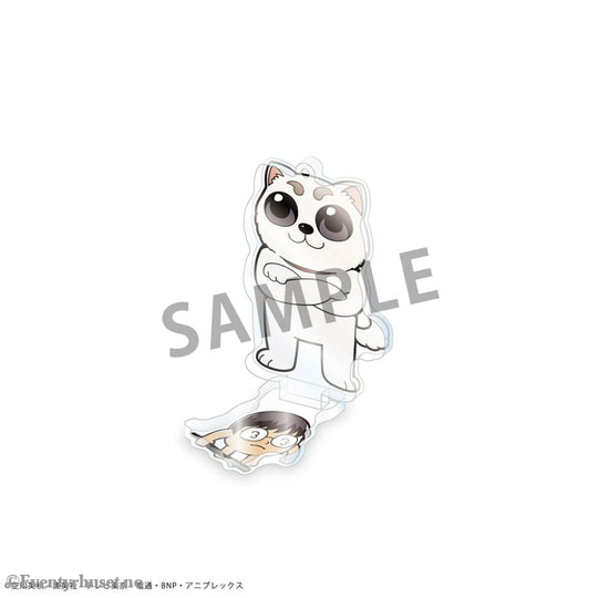 Gintama x Okawabukubu Acrylic Figure Display 11 cm (8) Manga & Anime