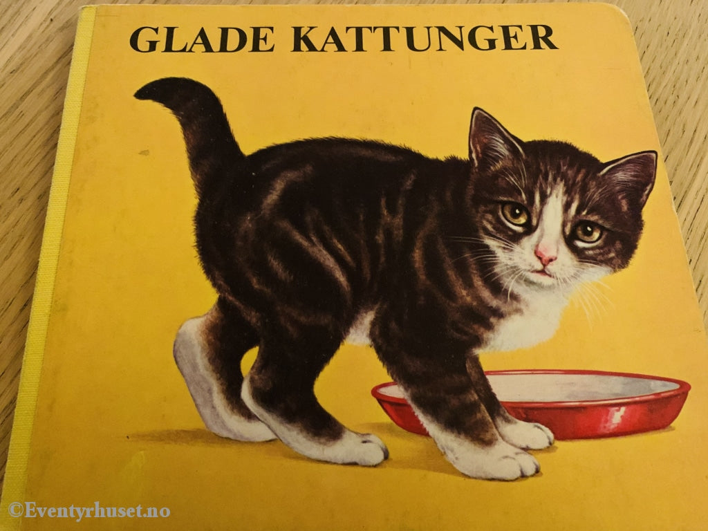 Glade Kattunger. Fortelling