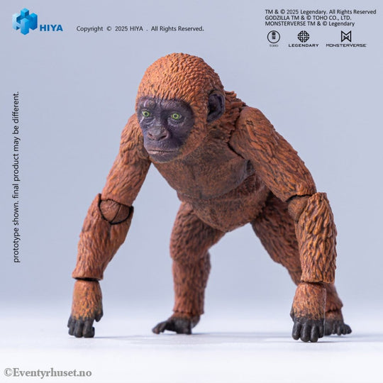 Godzilla x Kong: The New Empire Exquisite Basic Series Action Figure Mothra Premium Set Toys