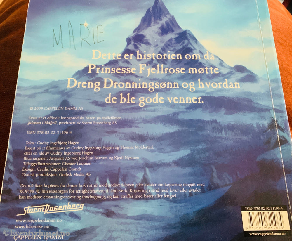Gudny Ingebjørg Hagen. Julenatt i Blåfjell – Fjellrose og Dreng blir venner. 2002. Bok.