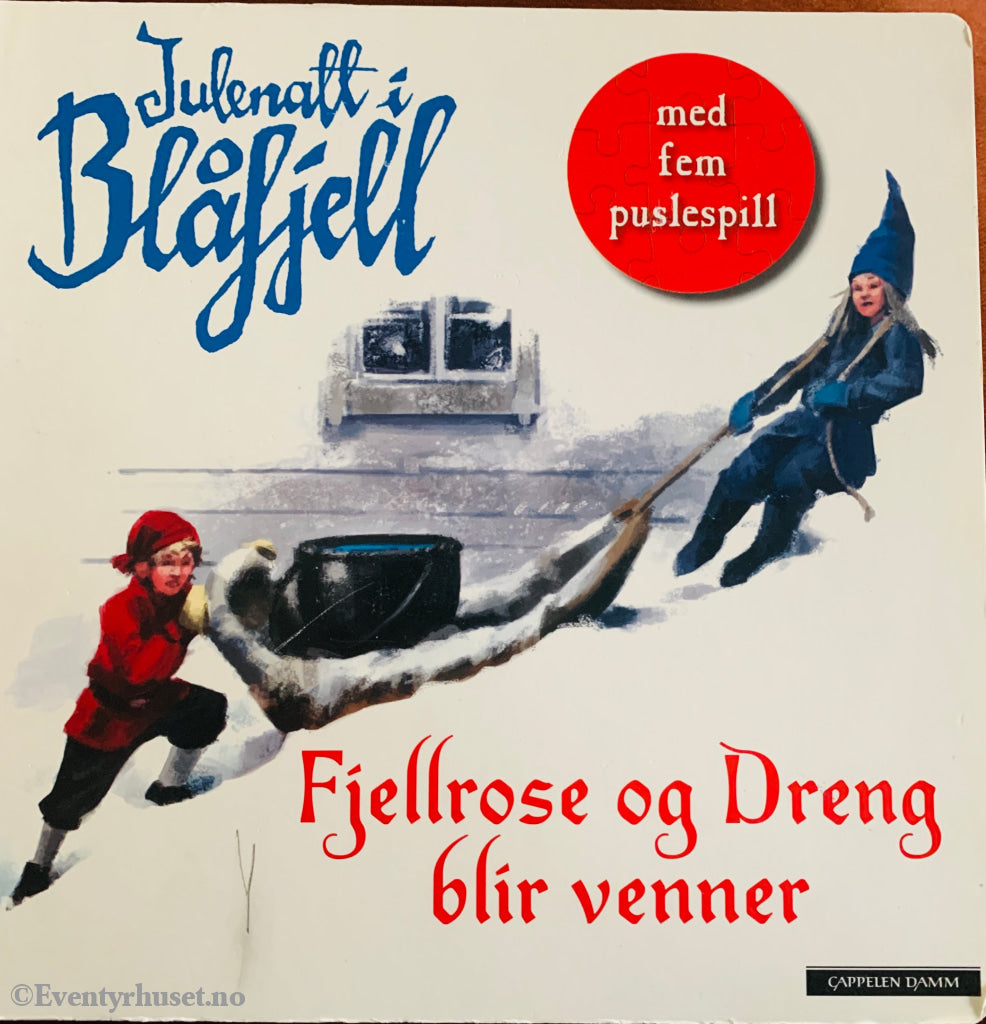 Gudny Ingebjørg Hagen. Julenatt i Blåfjell – Fjellrose og Dreng blir venner. 2002. Bok.