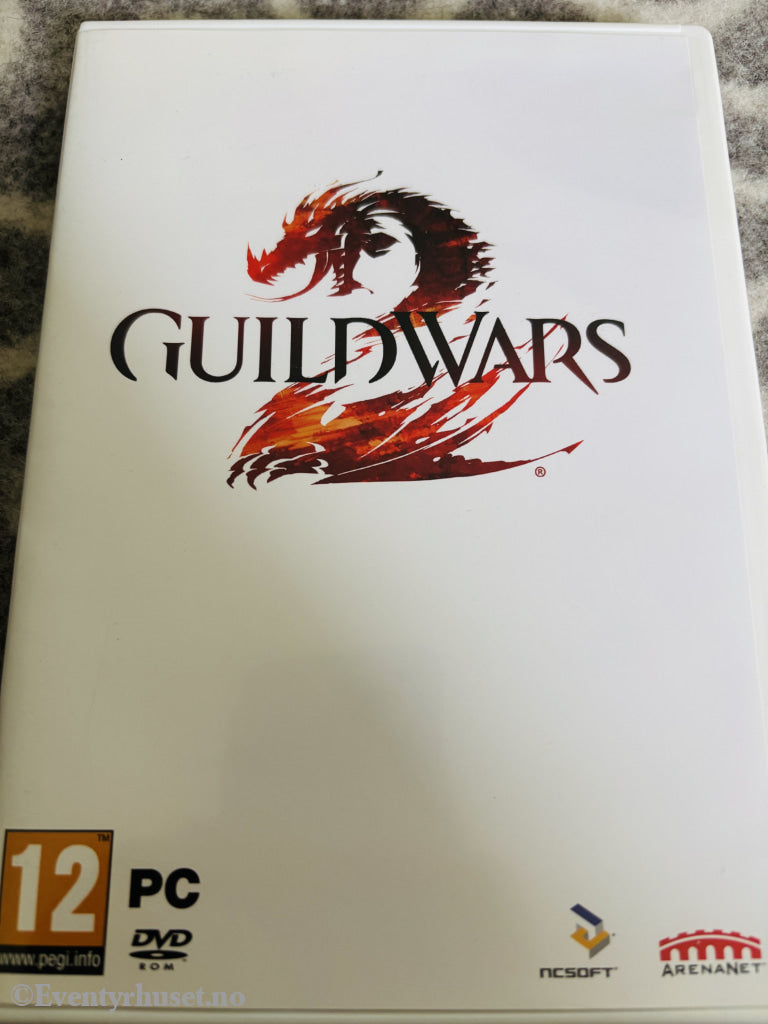 Guild Wars 2, 2012. PC-spill.