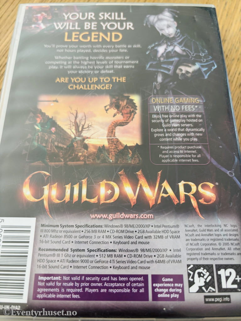Guild Wars, 2005. PC-spill.