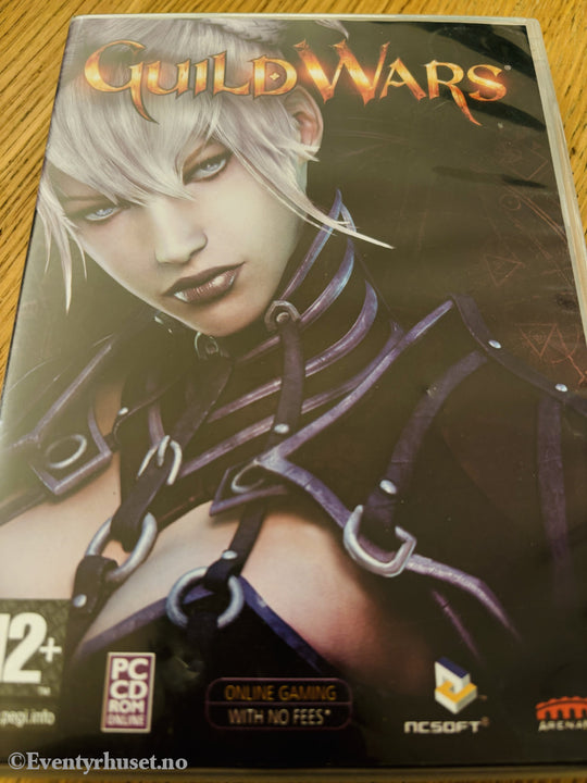 Guild Wars, 2005. PC-spill.