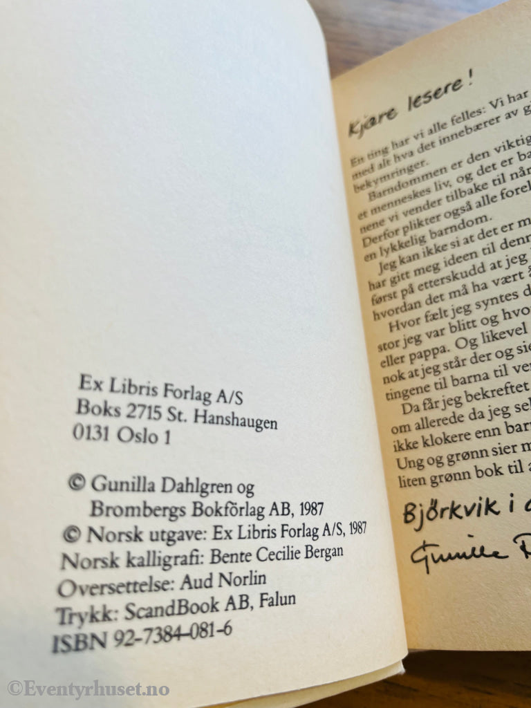 Gunilla Dahlgren. Den lille barneboken. Bok.