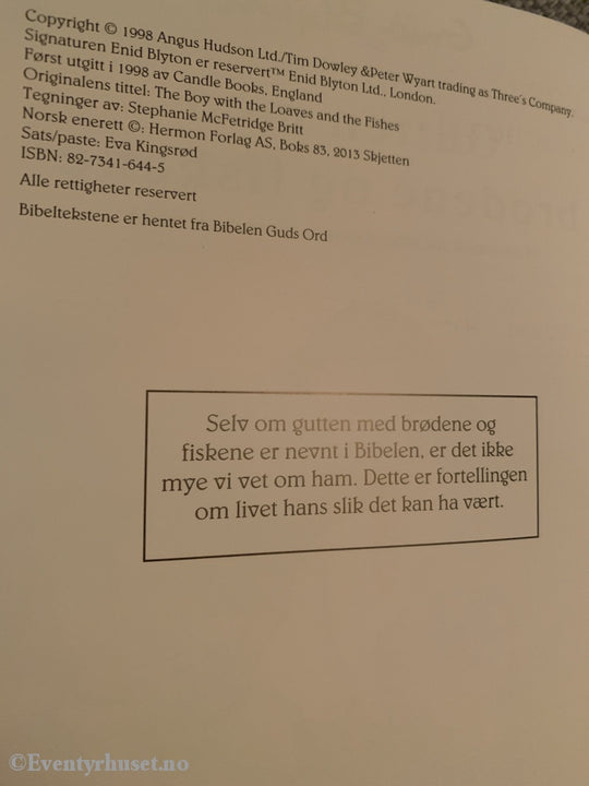 Gutten Med Brødene Og Fiskene. 1998. Fortelling