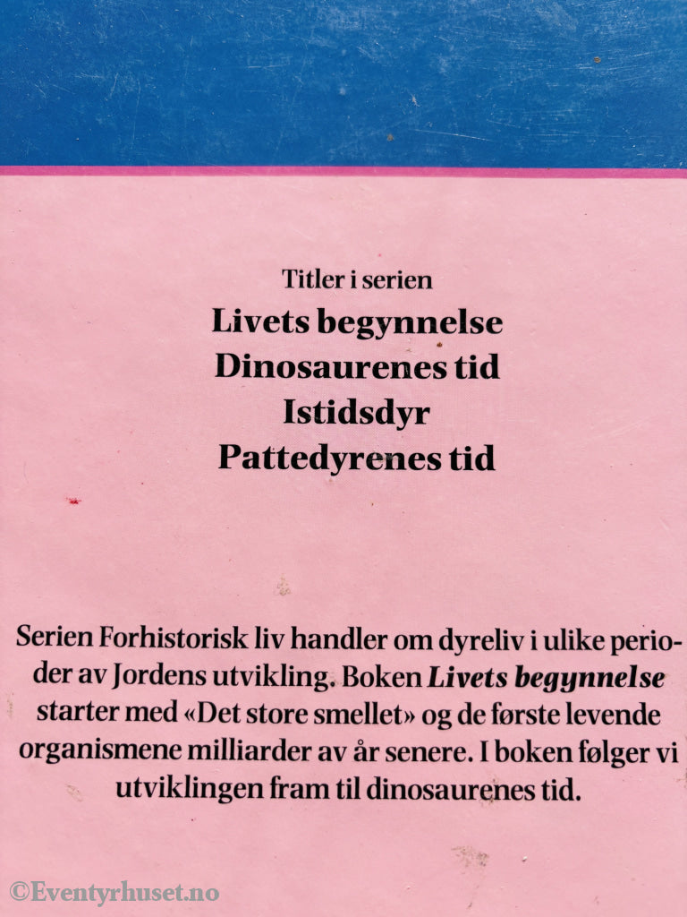 Gyldendal Norsk Forlag. Livets begynnelse. 1985. Barnebok.
