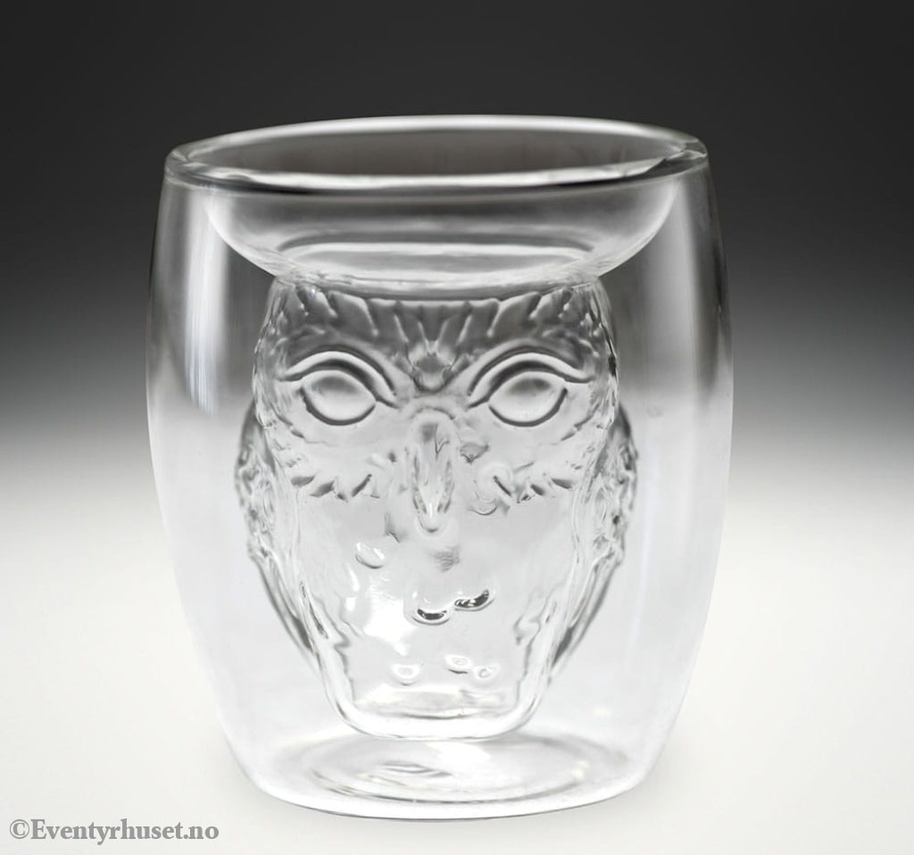 Harry Potter 3D Glass Hedwig Home & Gifts