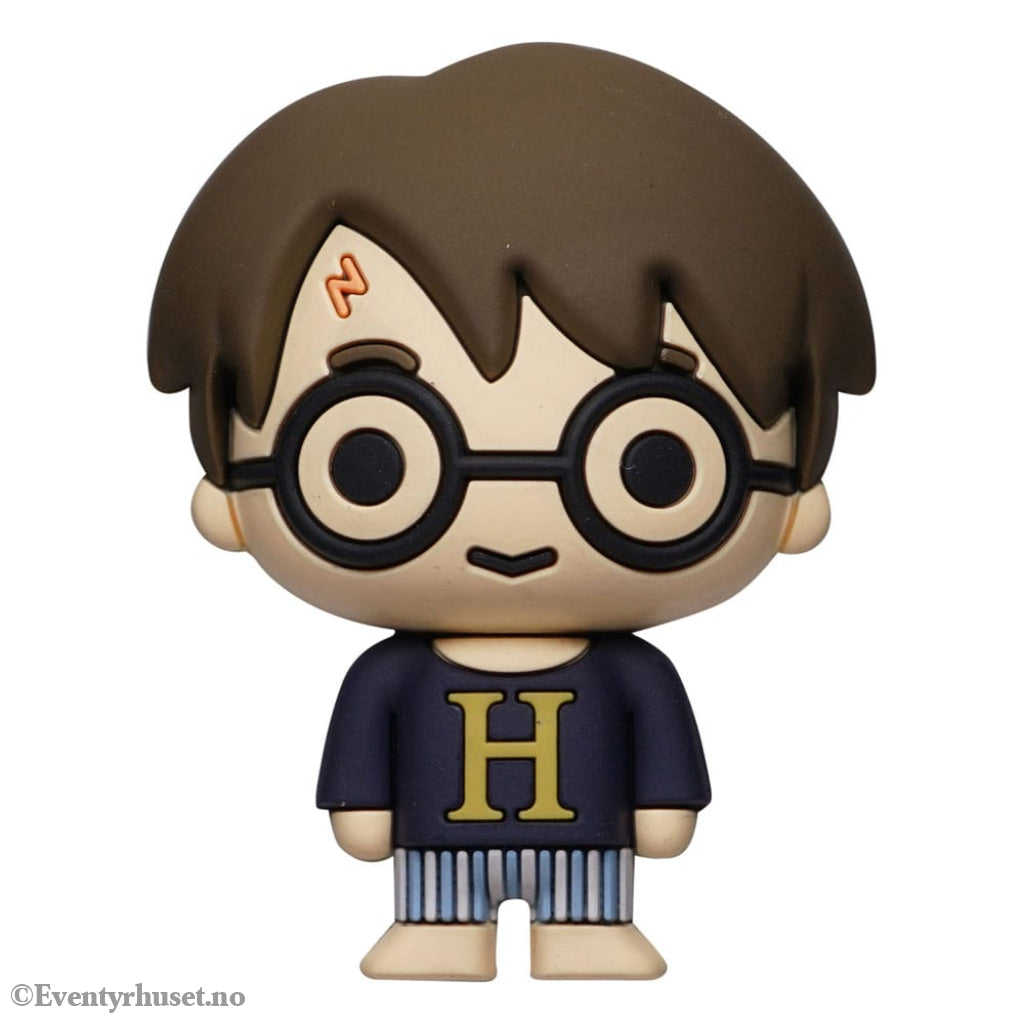 Harry Potter 3D Magnet Harry Potter Ver. 2 Home & Gifts