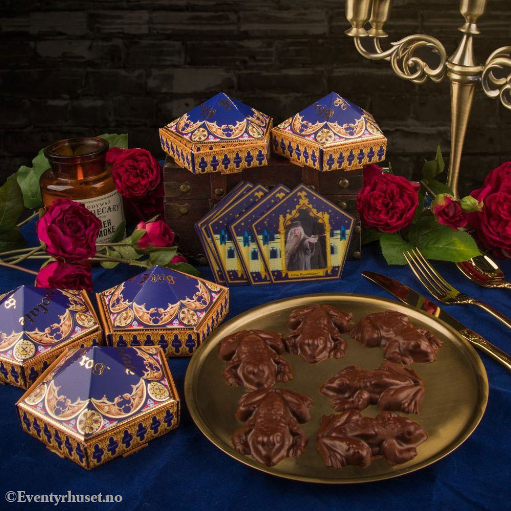 Harry Potter Chocolate Frog Mold New Edition Home & Gifts