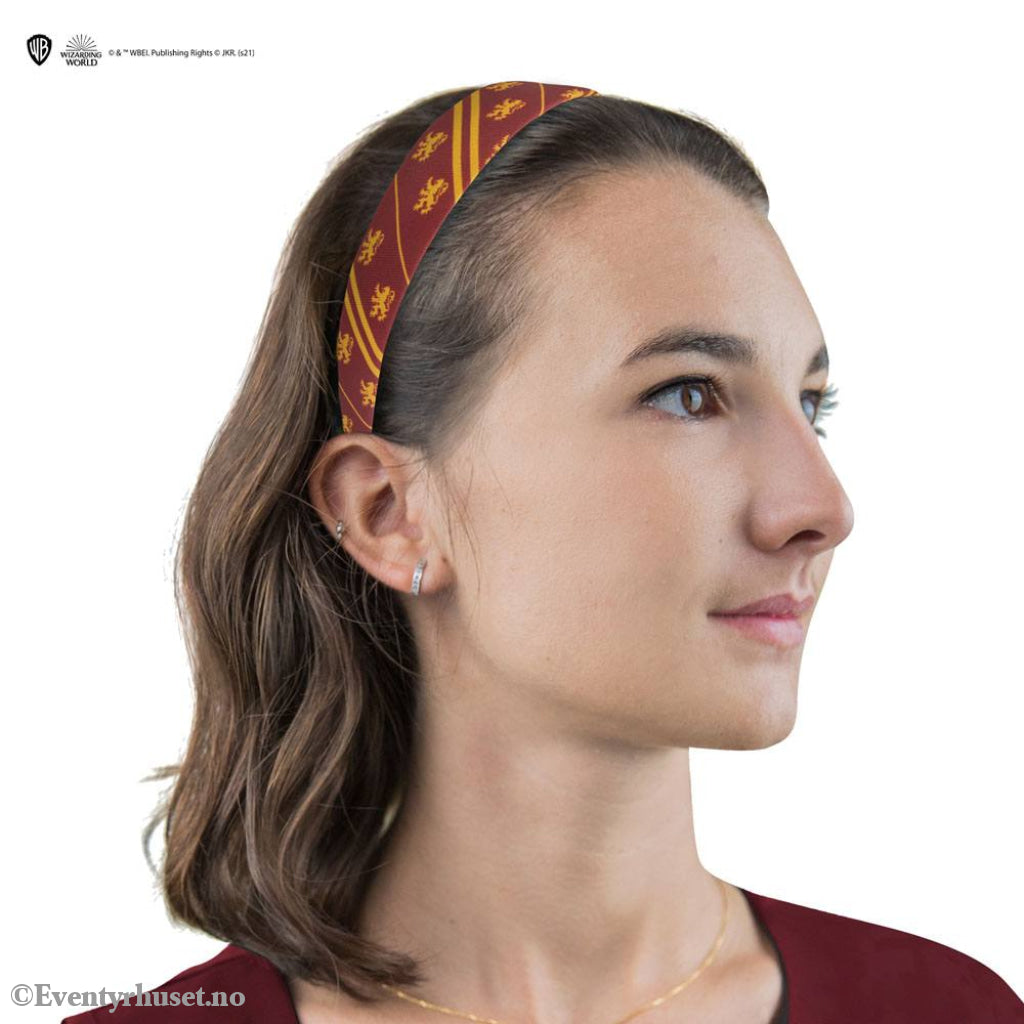 Harry Potter Classic Hair Accessories 2 Set Gryffindor Home & Gifts