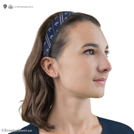 Harry Potter Classic Hair Accessories 2 Set Ravenclaw Home & Gifts