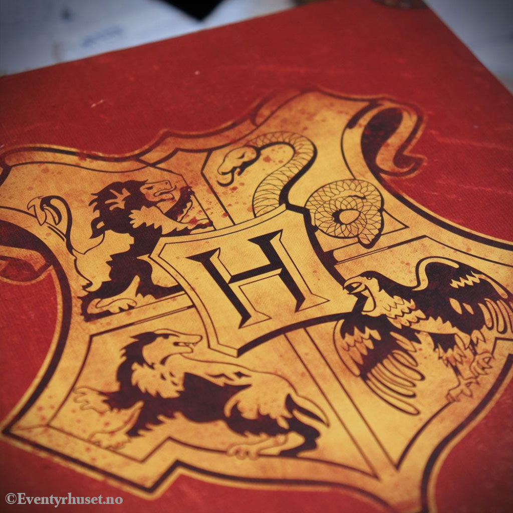 Harry Potter Collector Gift Box Harry Potter’s Journey to Hogwarts Collection Home & Gifts