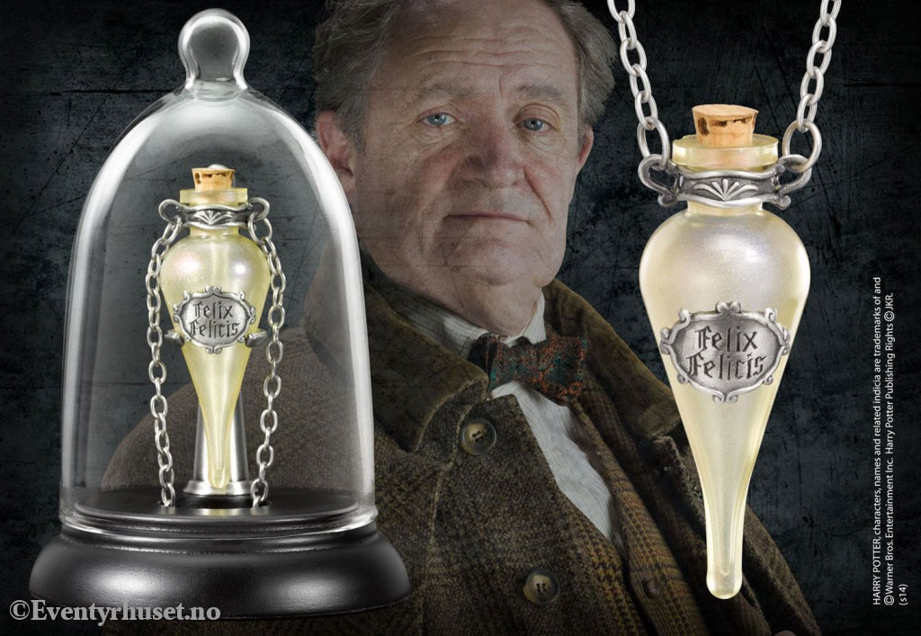 Harry Potter Felix Felicis Pendant and Display Home & Gifts