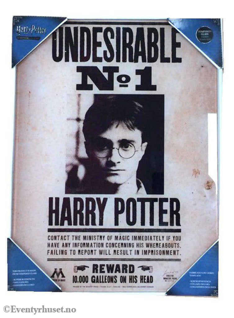 Harry Potter Glass Poster Undesirable No. 1 30 x 40 cm Home & Gifts