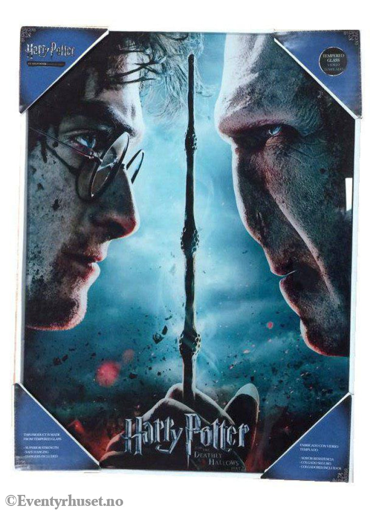 Harry Potter Glass Poster Harry & Voldemort 30 x 40 cm Home & Gifts