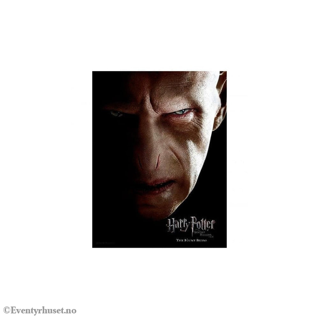 Harry Potter Glass Poster Voldemort 30 x 40 cm Home & Gifts