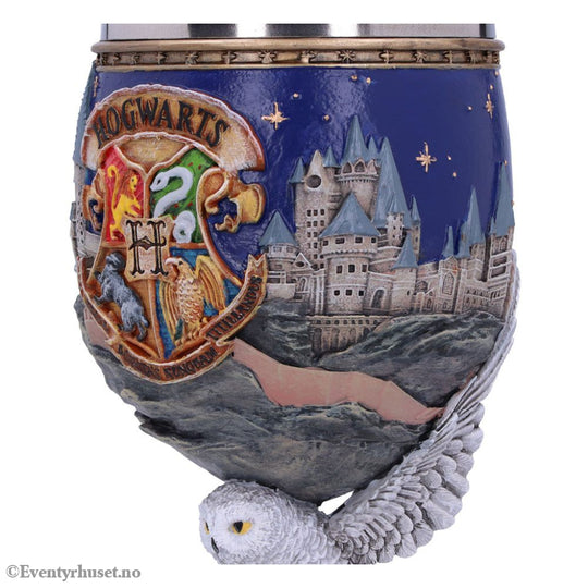 Harry Potter Goblet Hogwarts Home & Gifts