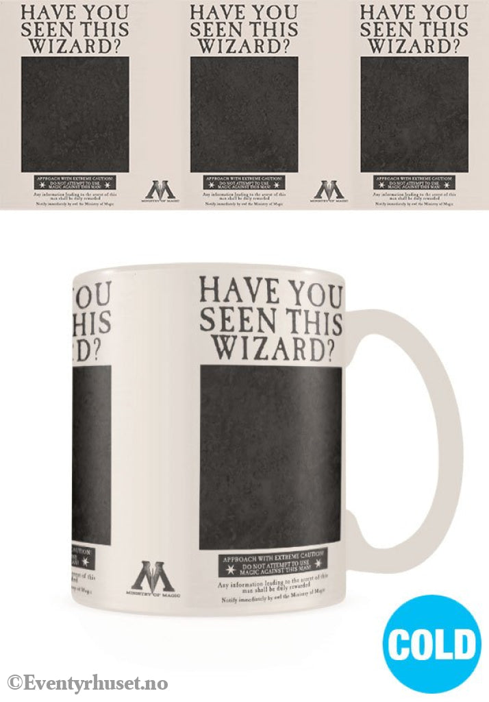 Harry Potter Heat Change Mug Wanted Sirius Black Home & Gifts