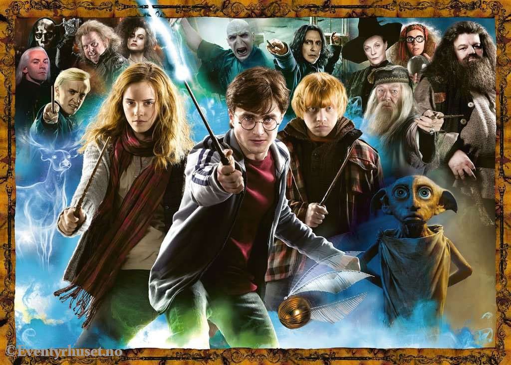 Harry Potter Jigsaw Puzzle Harry Potter (1000 pieces) Games