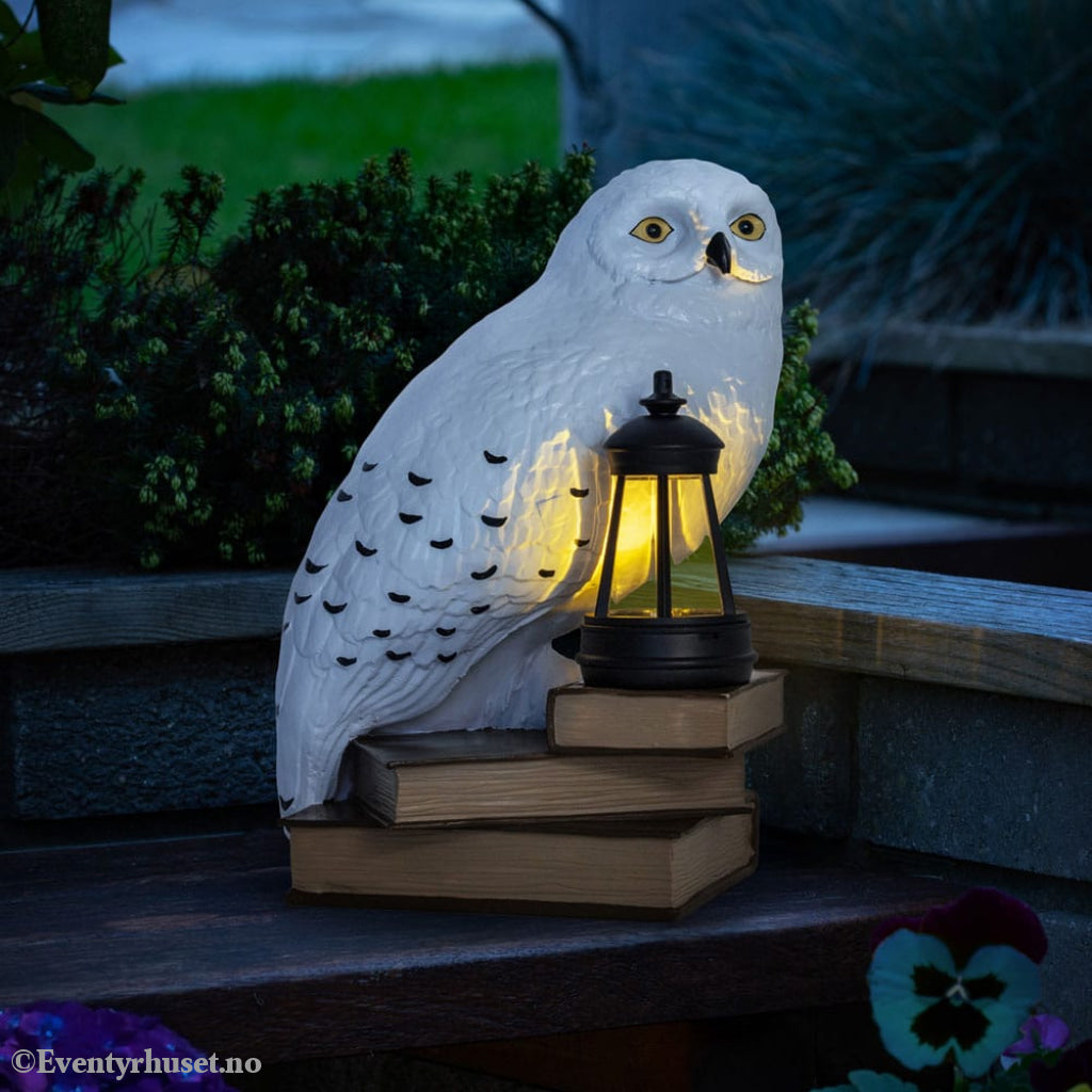 Harry Potter LunaGlo Light Hedwig Gnome Home & Gifts