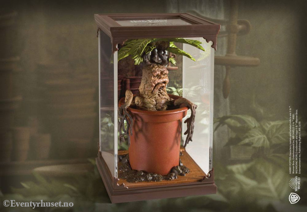Harry Potter Magical Creatures Statue Mandrake 13 cm Collectibles