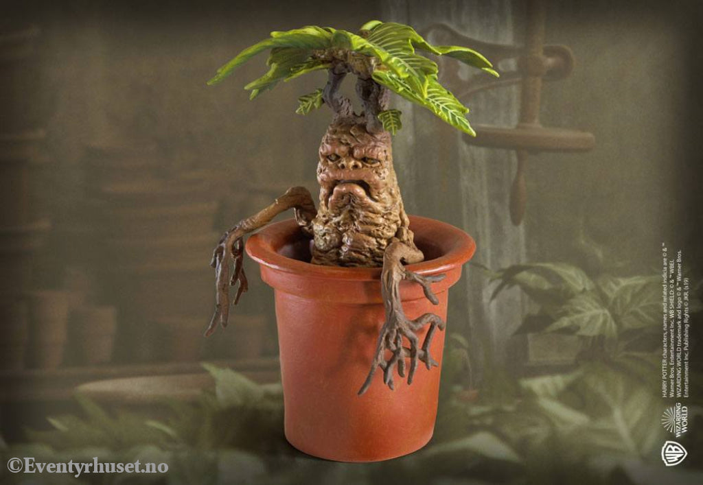 Harry Potter Magical Creatures Statue Mandrake 13 cm Collectibles