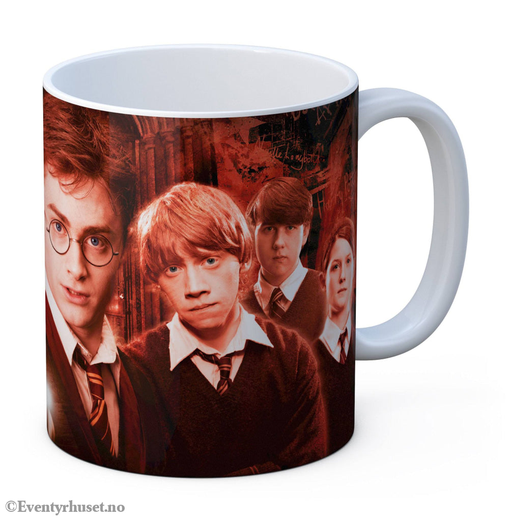 Harry Potter Mug Dumbledore’s Army Home & Gifts