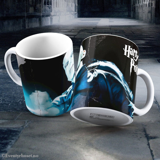Harry Potter Mug Voldemort Home & Gifts