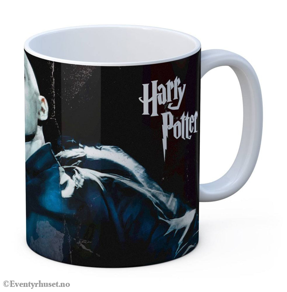 Harry Potter Mug Voldemort Home & Gifts