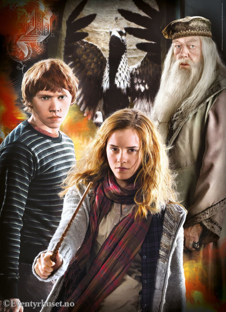 Harry Potter Multi Jigsaw Puzzle Characters (3 x 1000 pieces) Games