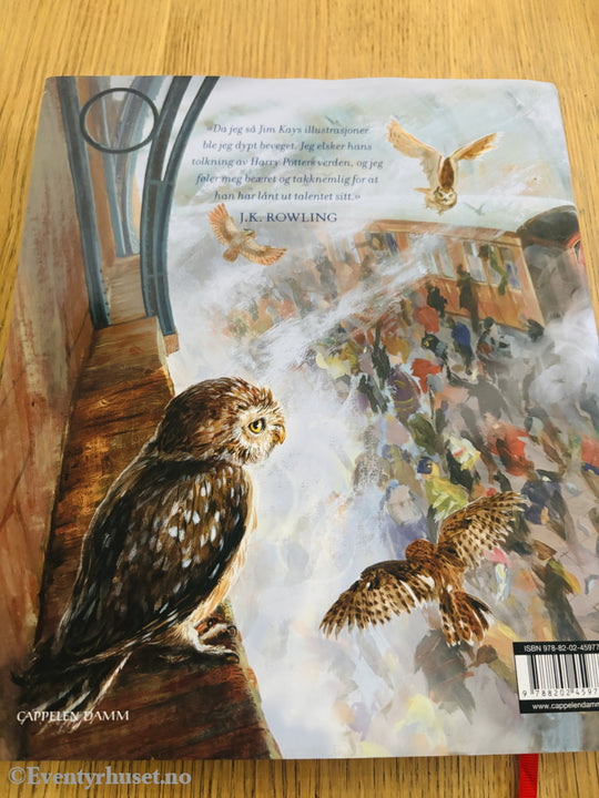 Harry Potter og De vises stein (Illustrert av Jim Kay, utgitt 2015)