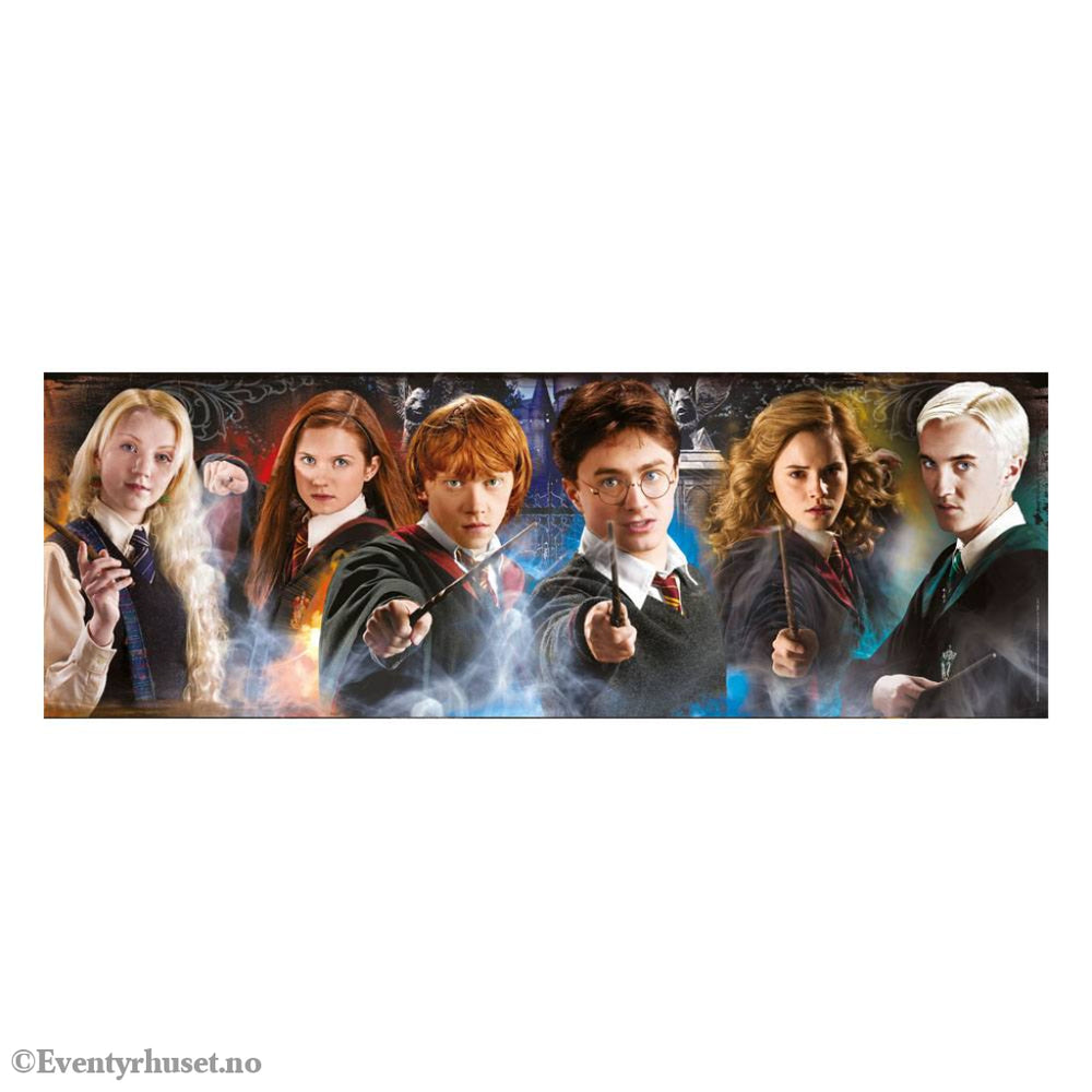 Harry Potter Panorama Jigsaw Puzzle Portraits (1000 pieces) Games