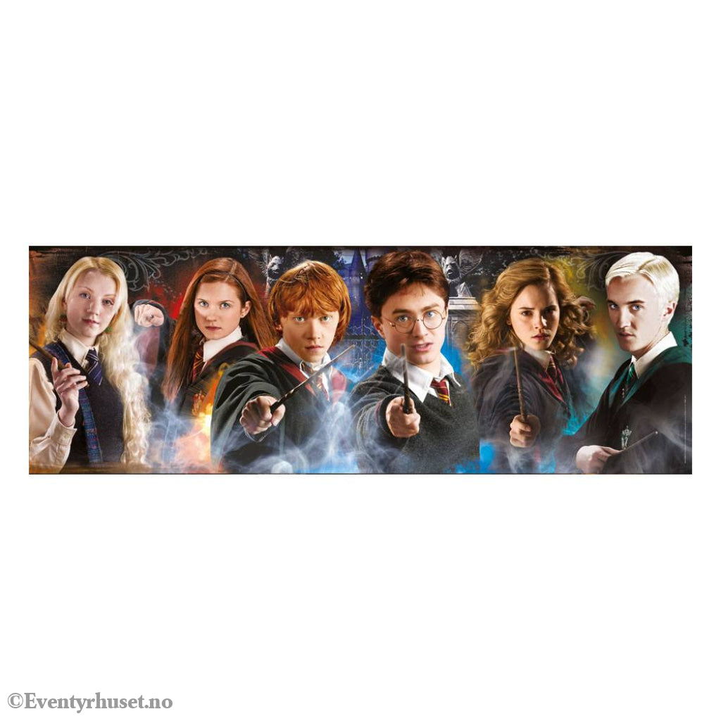 Harry Potter Panorama Jigsaw Puzzle Portraits (1000 pieces) Games